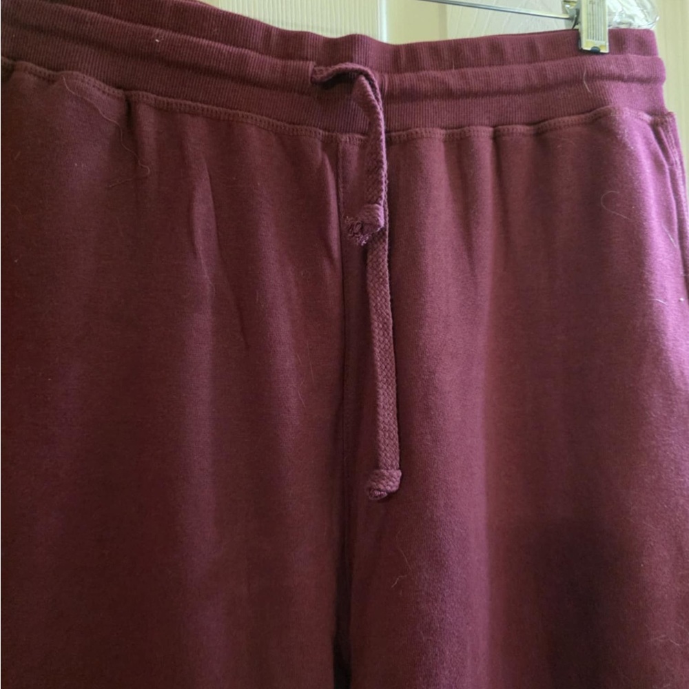 Ambiance Maroon Joggers